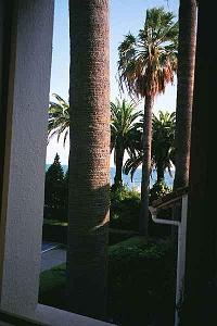 window-2-50.JPG