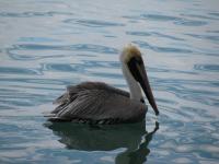 Key-West-005