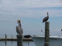 Key-West-063