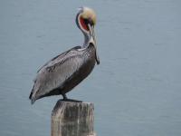 Key-West-066