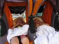 sleepingbabies
