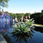 cactuswaterspikes
