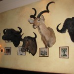 The Kelly family owns the land on which Emerald Bay sits, courtesy of Irish ancestor John Kelly. All family members have contributed their stuffed heads, some dating back to the fifties, some as recent as 2008.